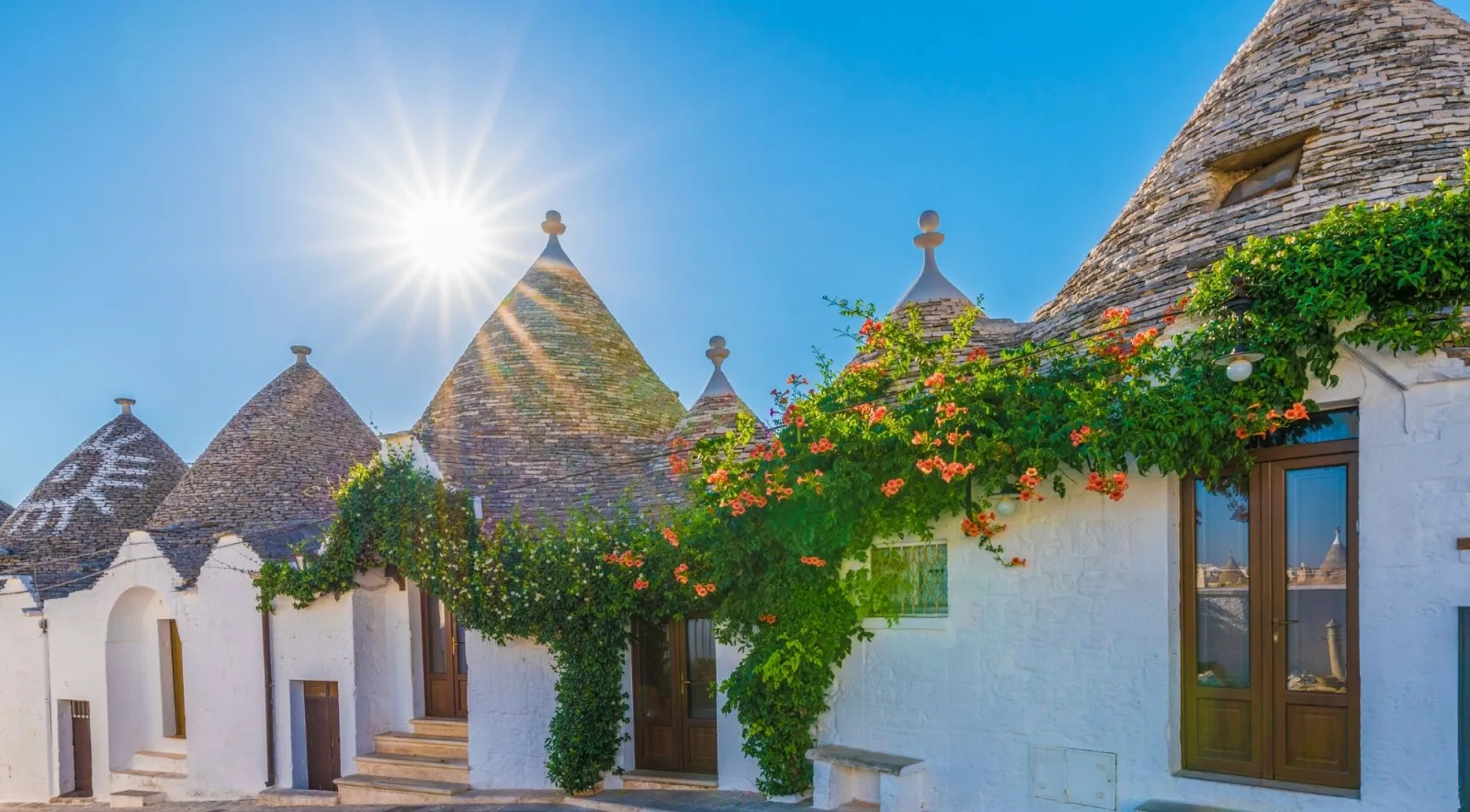 Sunlight above a trullo roof and vine-covered wall