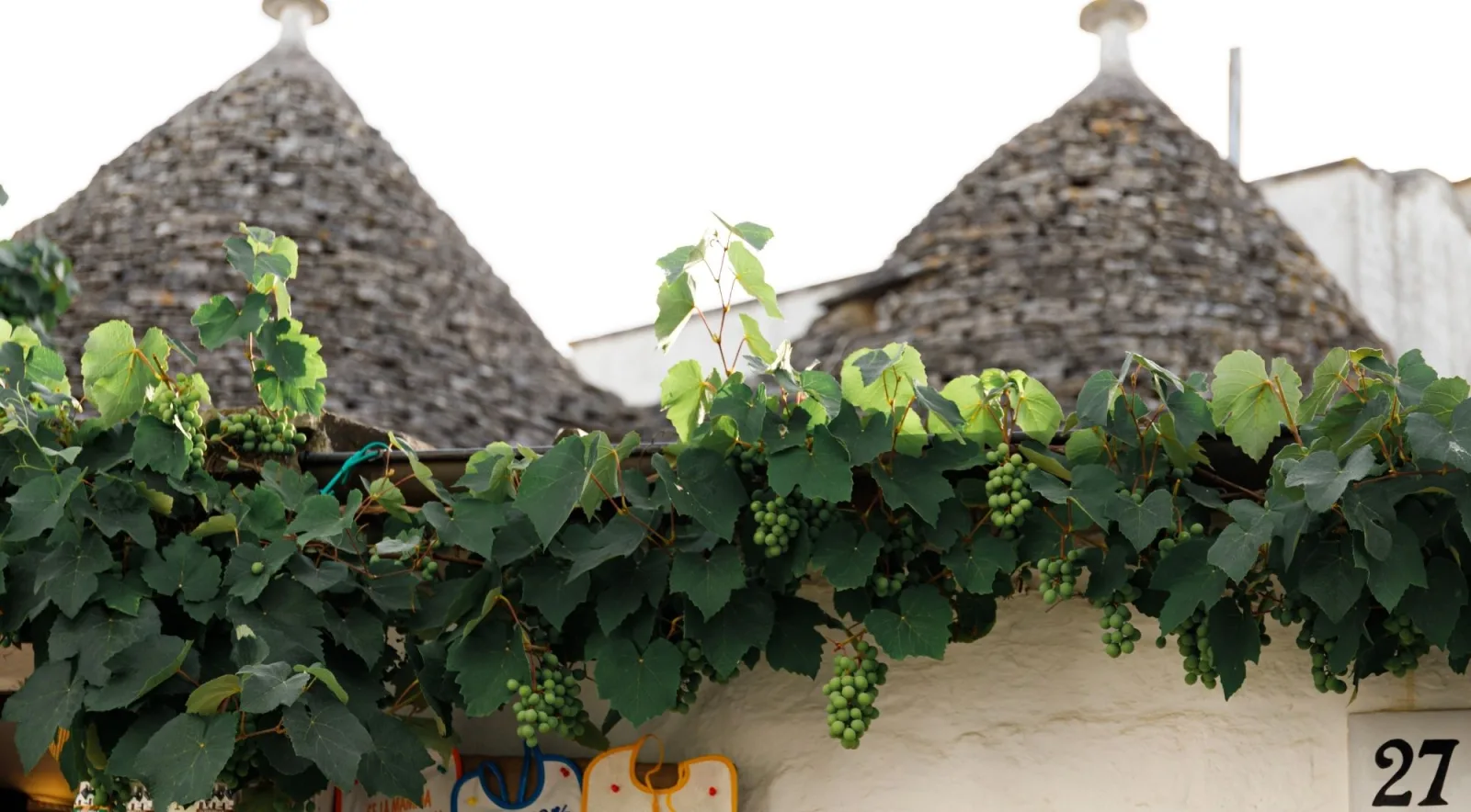 Grape leaves below a row of stone roofs
