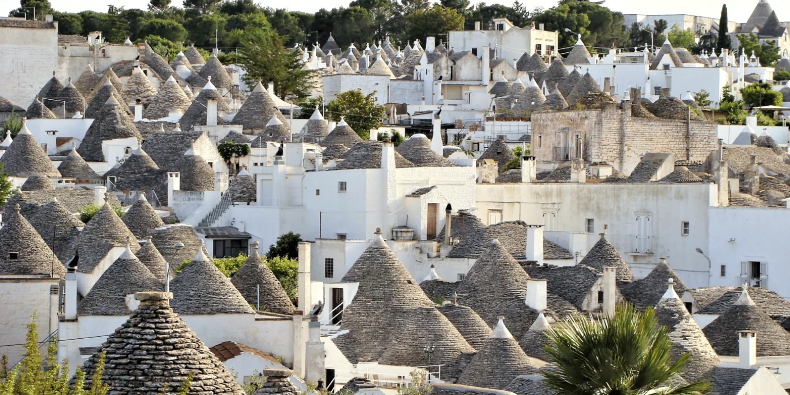 Alberobello Bus Excursion from Bari