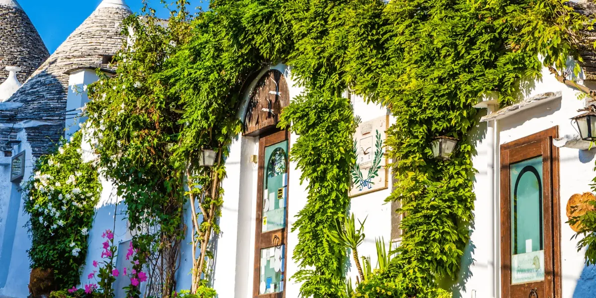 Vines framing a trullo doorway