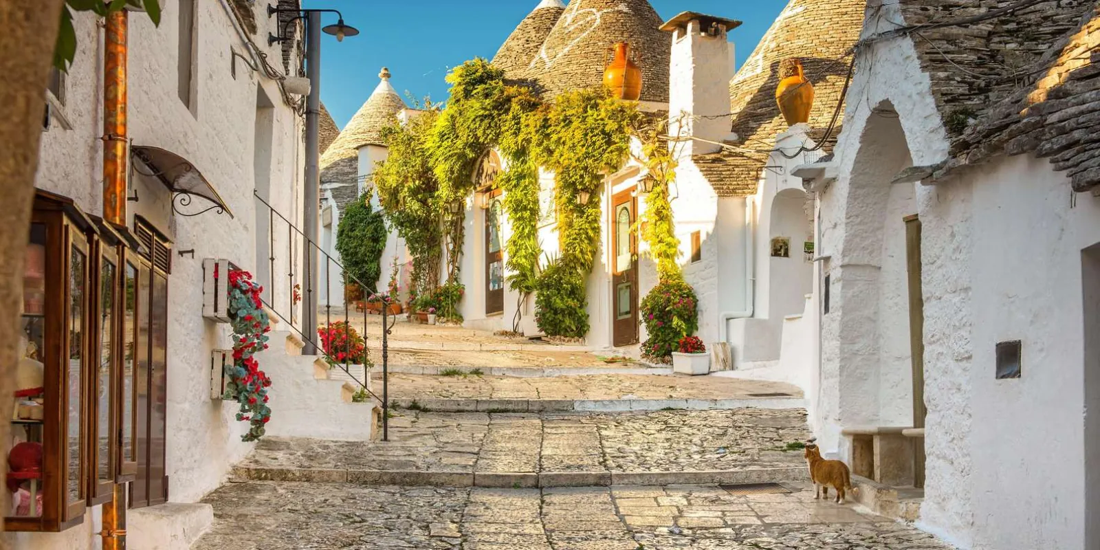 Quiet sunlit lane with trulli and vines